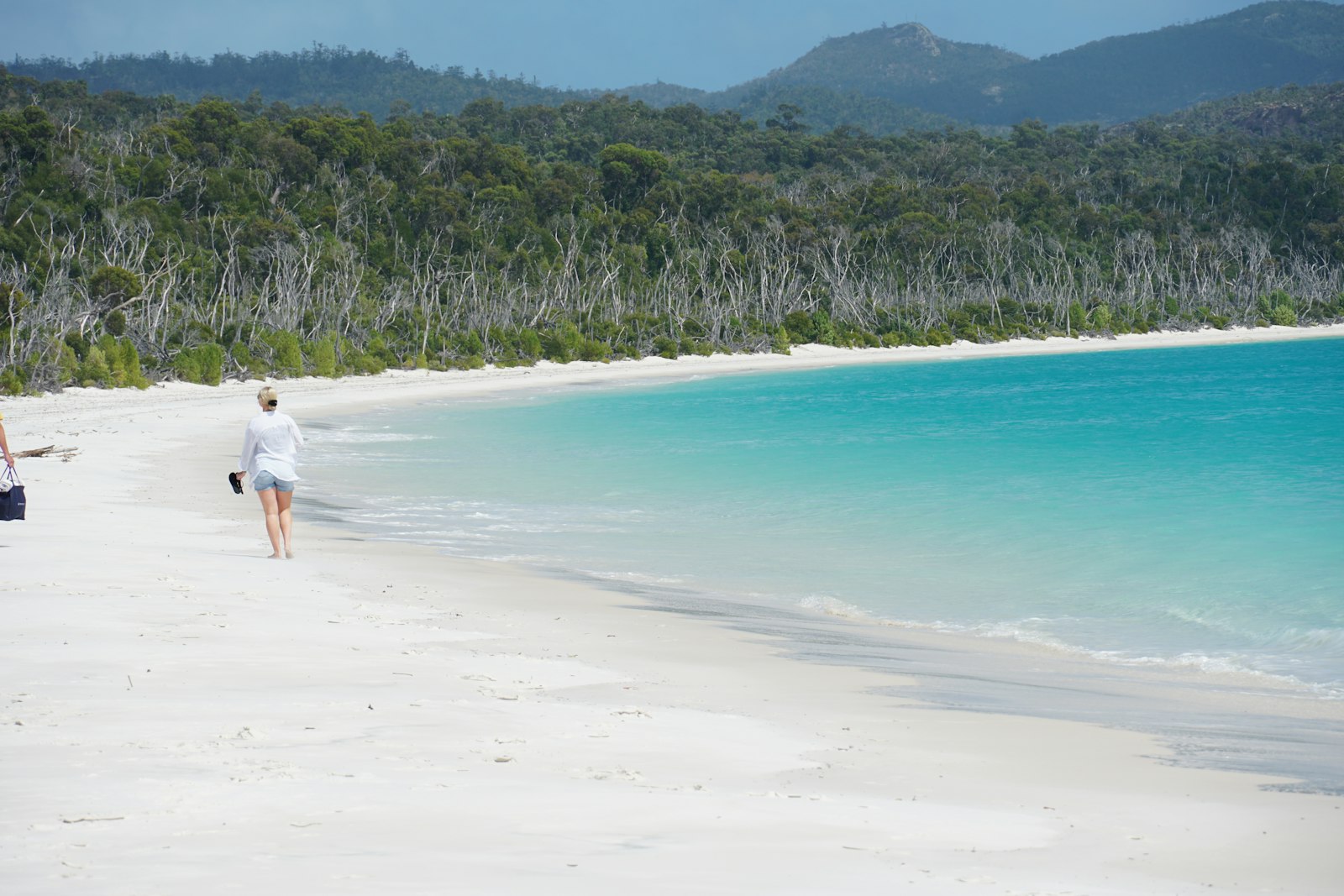 two people walking on a beach near the ocean