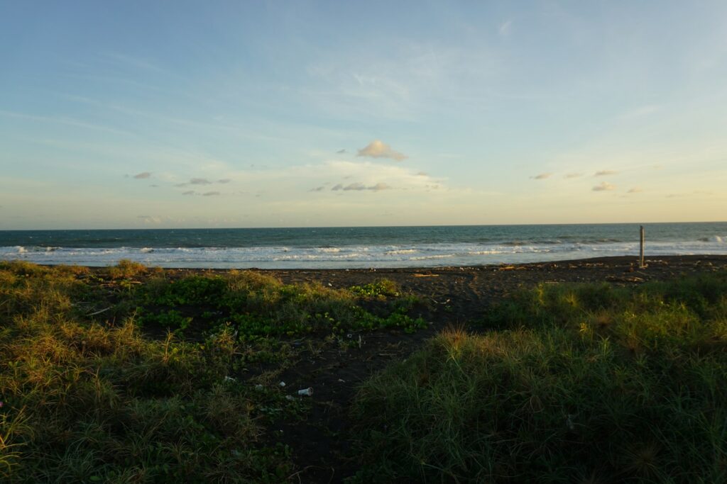 Sumba Property Investment FAQ