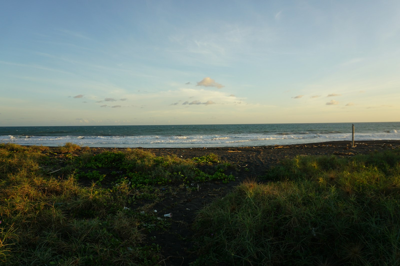 Grassy foreground leads to the beautiful ocean view.