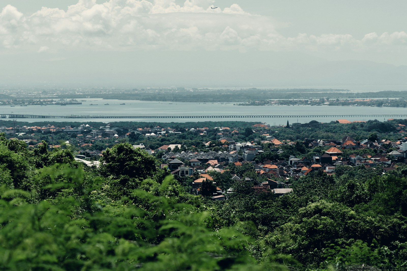 a view of a city with a lake in the background