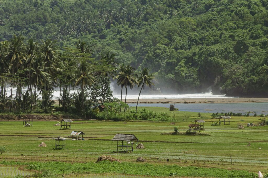 How to Buy Land in Sumba: Step-by-Step Process