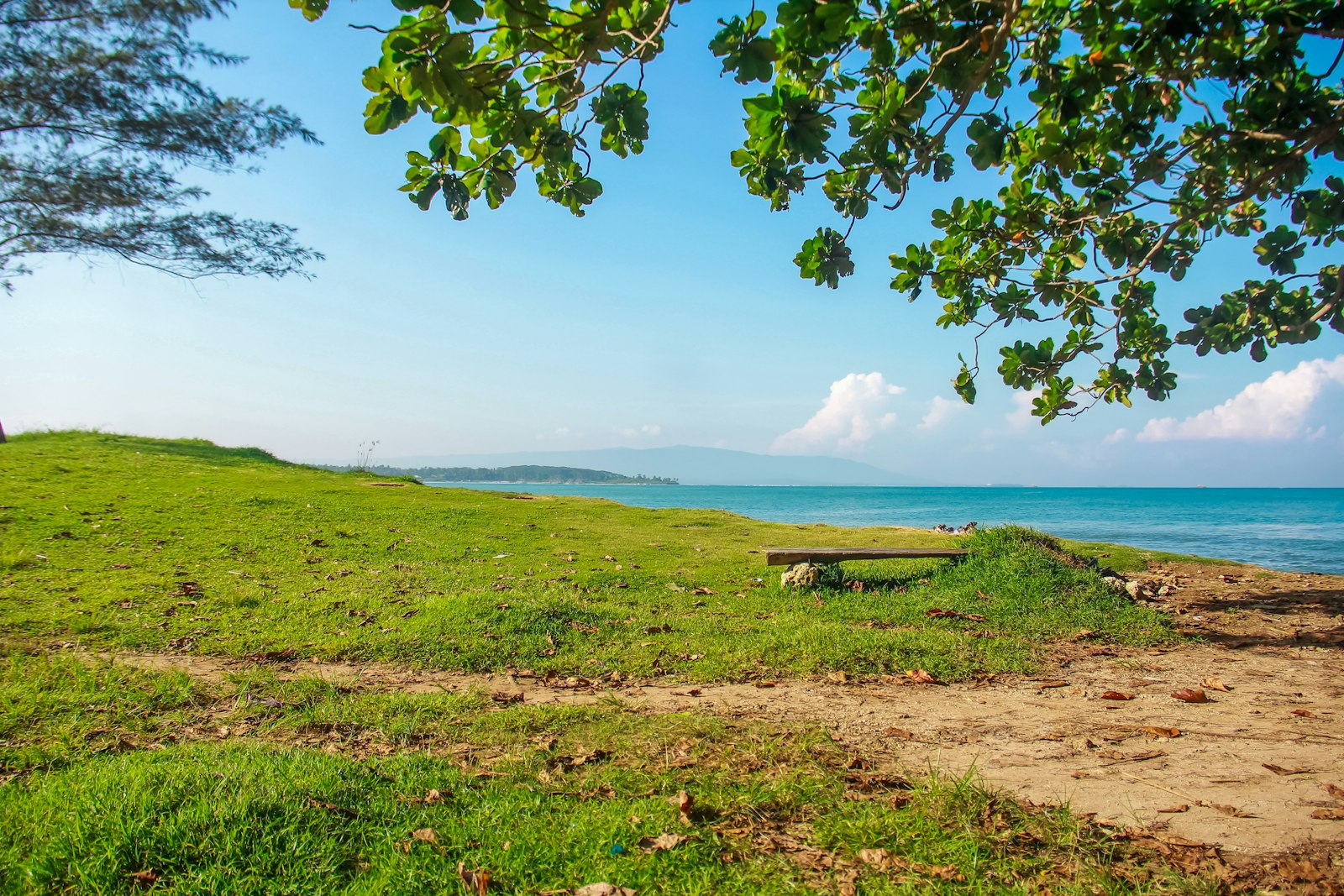 a bench sitting on top of a lush green hillside
