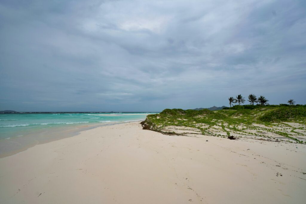 Who Invests in Sumba and Why It Matters